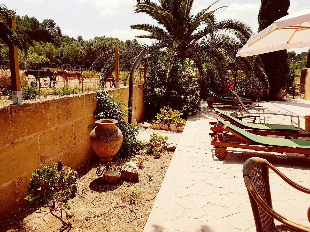 Finca Caballo Blanco Hotel Montuiri