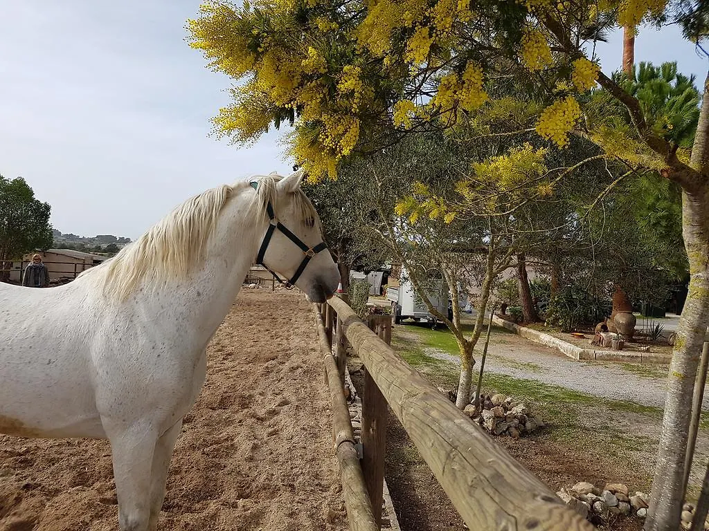 Gasthof Hotel Finca Caballo Blanco Montuïri