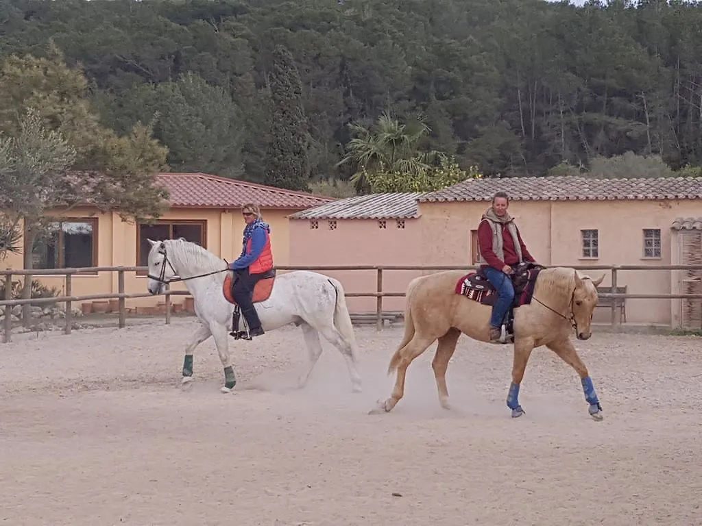 Finca Caballo Blanco Hotel Montuiri  Gasthuis